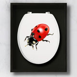 stickers-abattant-wc-coccinelle-rouge-noir